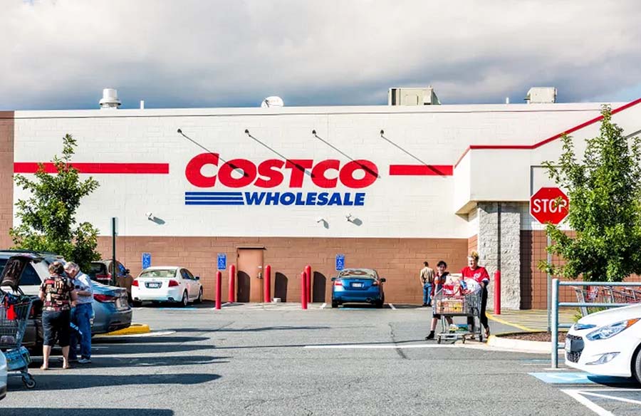 Costco’s Lifelike Faux Olive Tree: A Green Thumb’s Deception